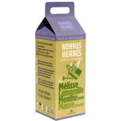 Kit Crescer  Ervas Boas para tisanas